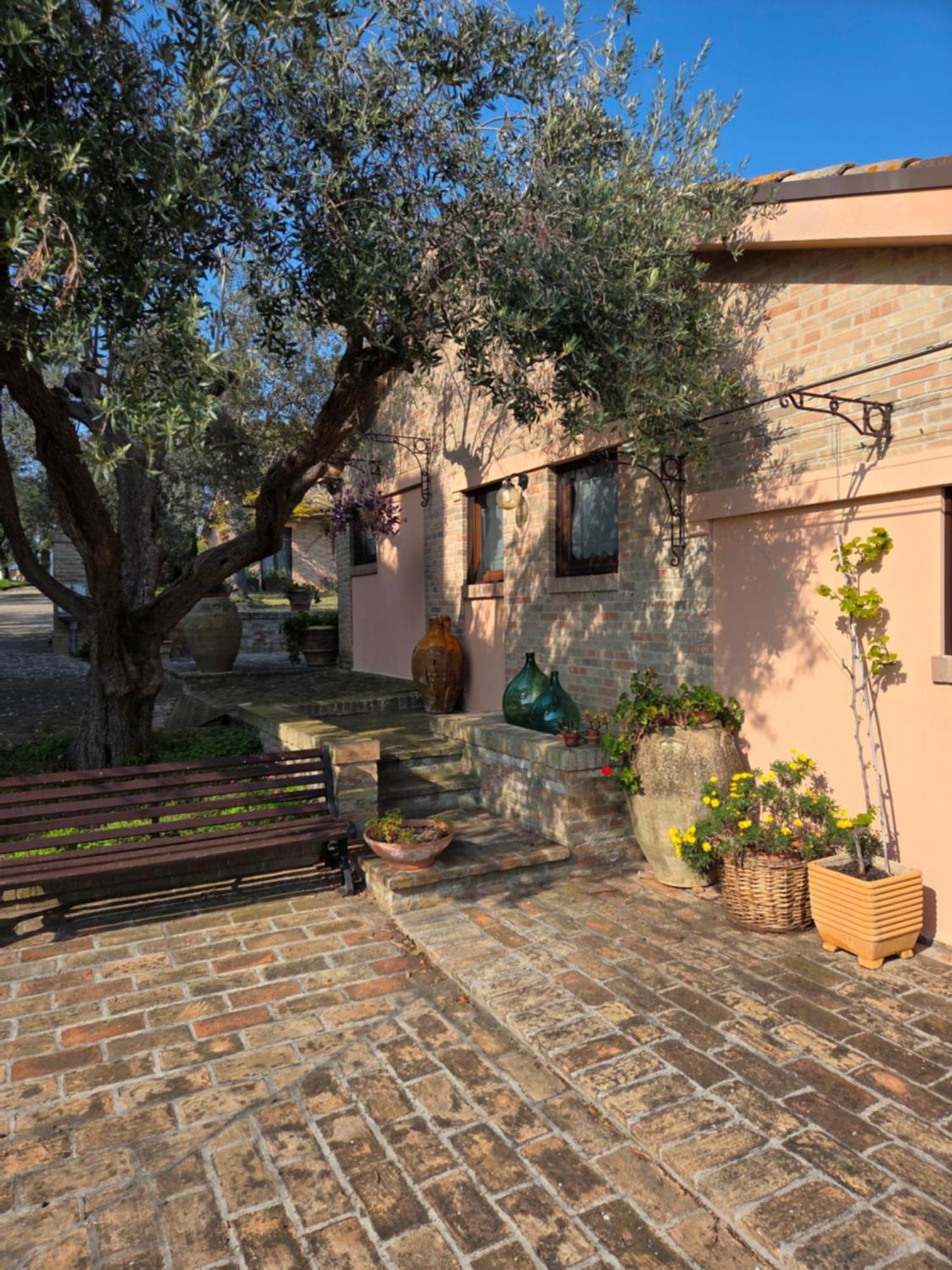 Casa Sabbatini Appartement SantʼElpidio a Mare Buitenkant foto