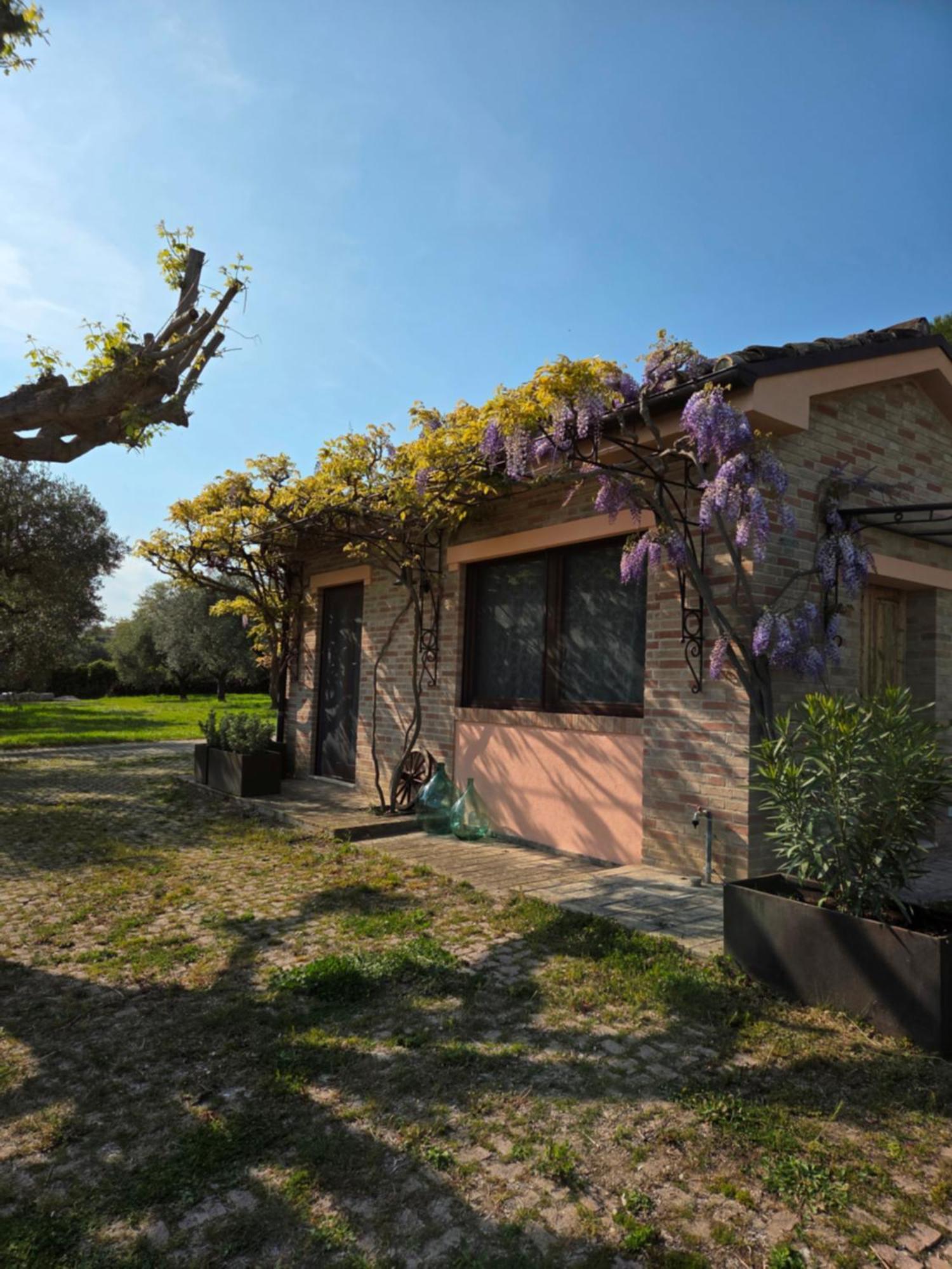 Casa Sabbatini Appartement SantʼElpidio a Mare Buitenkant foto